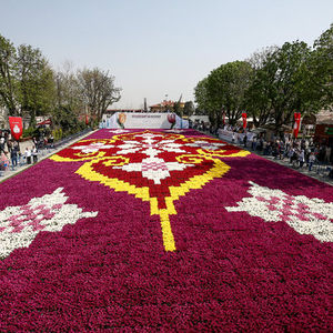Dünyanın en büyük canlı lale halısı görücüye çıktı
