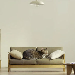 Kedileri memnun etmek için mobilya tasarladılar