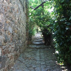 İstanbul'un cennet sokağı