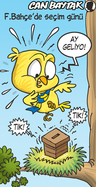 Fenerbahçe'de seçim günü