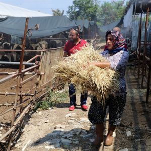 4 bilezikle başladı, Kurban Bayramı öncesi servetine servet