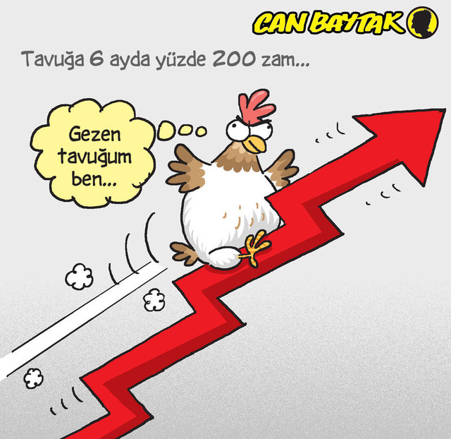 Tavuğa 6 ayda yüzde 200 zam