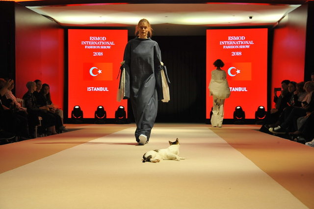 GENEL