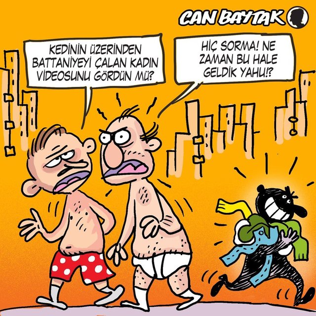 Kedinin üzerinden çalınan battaniye