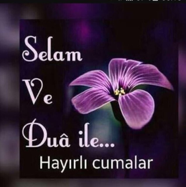 Resimli cuma mesajları her cuma günü merak edilen konular arasında. Sizler için en yeni resimli cuma mesajlarını araştırıp sayfamızda derledik. Siz de sevdiklerinize en güzel resimli cuma mesajlarını gönderebilirsiniz. Hayırlı cumalar, cumanız mübarek olsun!