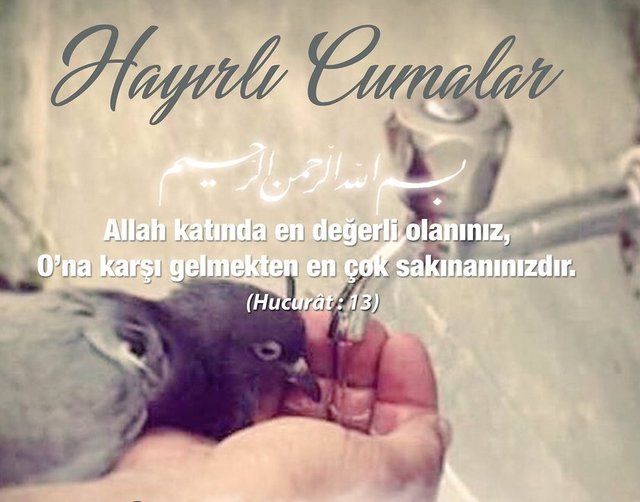 'Şüphesiz (bilsinler) ki O Allah, bizzat rızkı veren kuvvet ve kudret sahibidir. Hiç kuşkusuz o zulmedenlere de, (geçmiş) arkadaşlarının (azaptaki ) payı gibi bir pay vardır. Şimdi gelmesi için acele etmesinler. ' (Zariyat ~58,59) Cuma Gününüz Bin Mübarek Olsun. Dua eder, Dua beklerim. Selamlar.