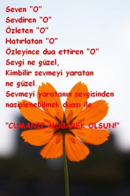   - Allahümme salli ve alâ seyyidinâ Muhammed ve alâ âli seyyidinâ Muhammed Hayırlı Cumalar. -   -   -   -   -  