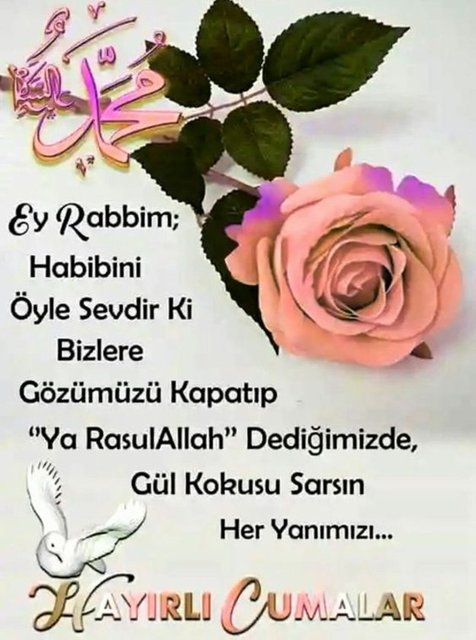 Allah'ım... Ümidimi kaybettiğimde, senin yazdığın kaderin, hayallerimden daha güzel olduğunu hatırlat... Hayırlı Cumalar...
