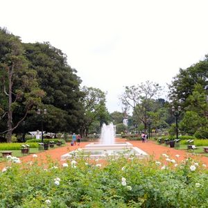 THY'nin en uzun uçuşu