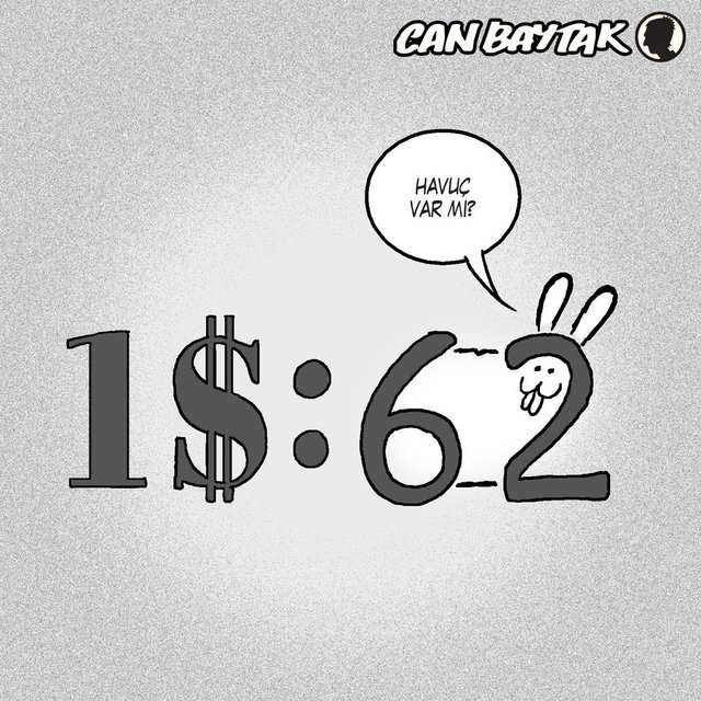 6,2'den tavşan