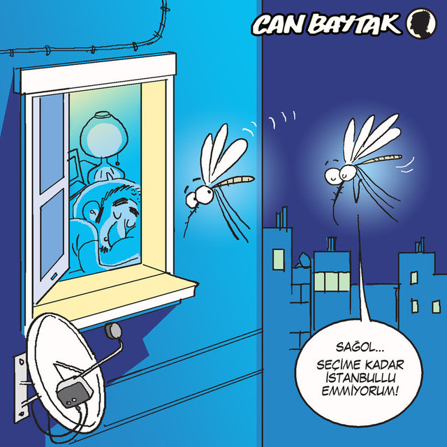 Seçime kadar