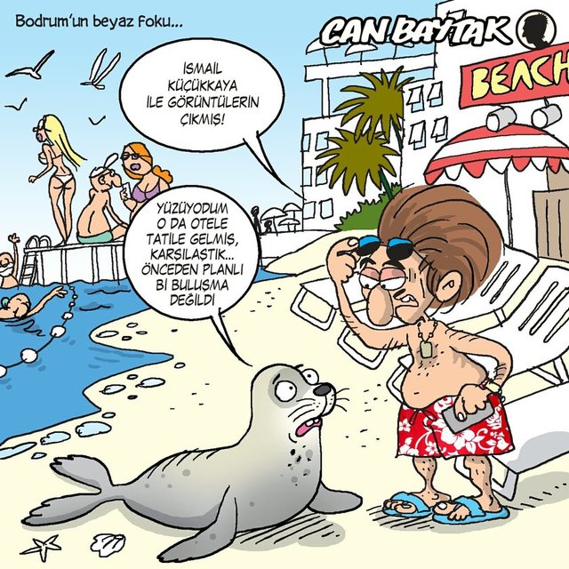 Bodrum'un beyaz foku...