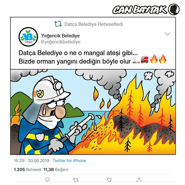 Orman yangını