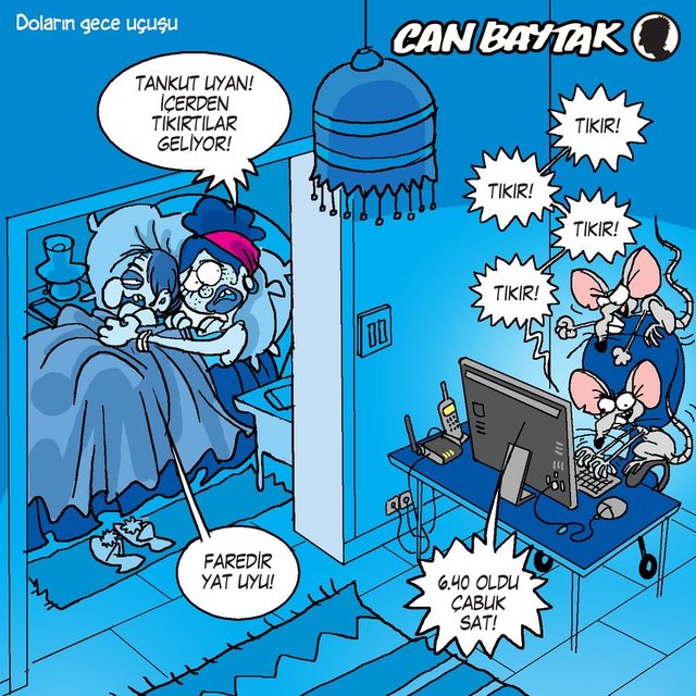 Doların gece uçuşu