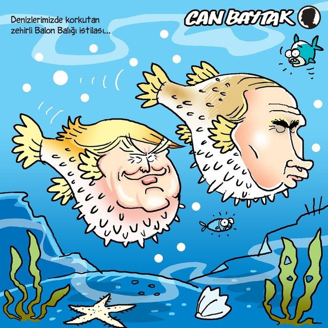 Balon balığı istilası