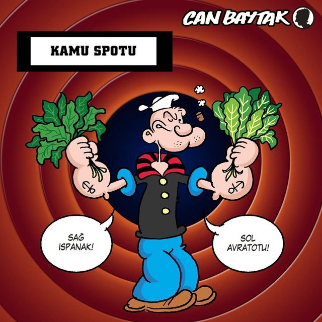 Kamu spotu