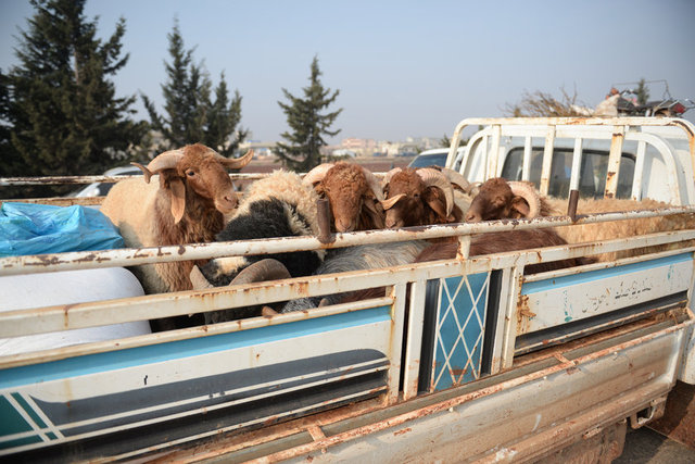 Esad karşıtı sivillerin ve muhaliflerin son kalesi haline gelen İdlib'de ateşkes kararına rağmen Rusya ve rejim bombardımanı devam ediyor.