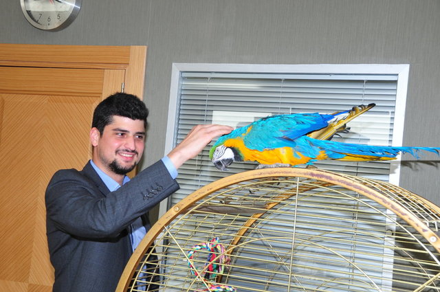 MURAT TİBUK
