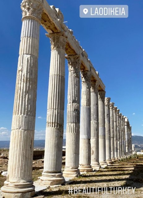 GENEL
