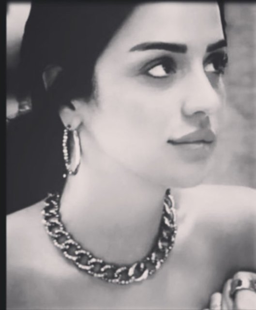 MAYA PORTAKAL BİTARGİL
