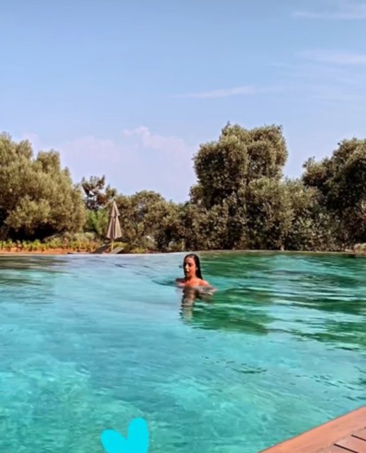 MAYA PORTAKAL BİTARGİL