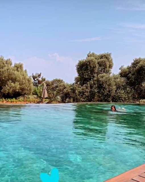 MAYA PORTAKAL BİTARGİL
