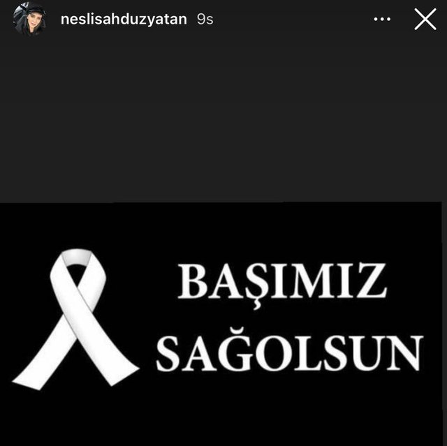 NESLİŞAH ALKOÇLAR DÜZYATAN