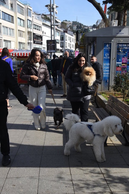 MELİSA TAPAN ARKADAŞLARIYLA BİRLİKTE, BEBEK'TE KÖPEĞİNİ GEZDİRDİ.