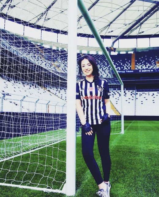 MAYA PORTAKAL BİTARGİL
