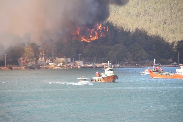 MUĞLA'NIN KÖYCEĞİZ İLÇESİNDE İSE MAKILIK ALANDA ÇIKAN YANGINA İKİNCİ GÜNDE, HELİKOPTERLERİN MARMARİS VE MANAVGAT'TAKİ YANGINLARDA OLMASI NEDENİYLE SADECE KARADAN MUDAHALE EDİLDİ.