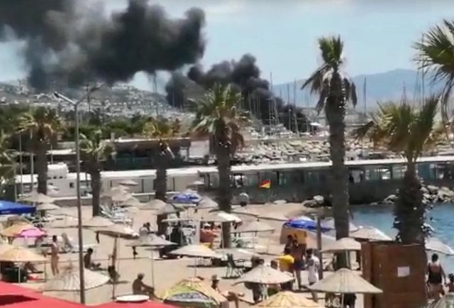MUĞLA'NIN MİLAS VE bODRUM İLÇELERİ ARASINDAKİ PİNA YARIMADASI'NDA ÇIKAN ORMAN YANGINI DA ANCAK SAATLER SONRA KONTROL ALTINA ALINDI.