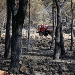 Fethiye'deki orman yangınında 5 hektarlık alan küle döndü