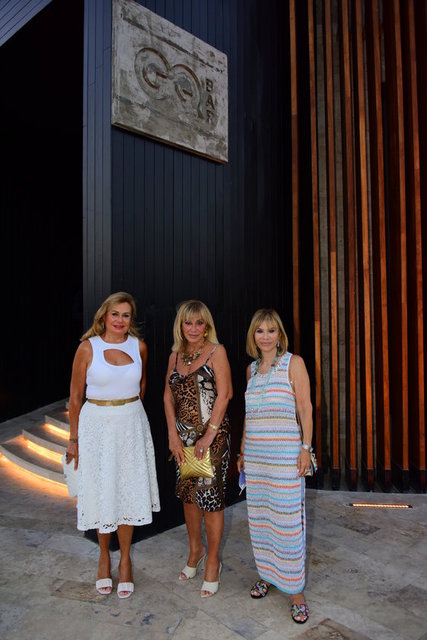 NeslİgÜl Aksoy, Banuhan AkÇal, Roula Habbab -   - 