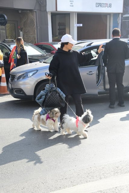NAZLI KEÇİLİ