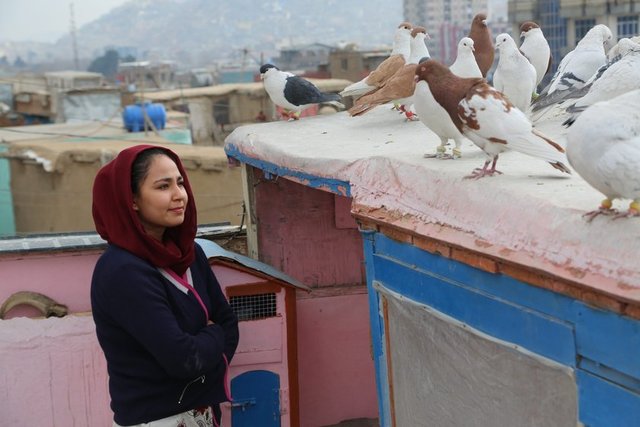 HAVVA, MERYEM, AYŞE - HAVA, MARYAM, AYESHA