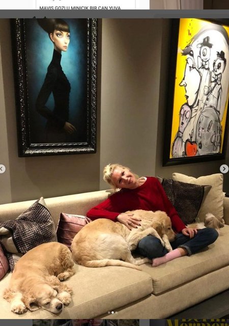 DERİN MERMERCİ, KENDİ KÖPEKLERİNİN YANI SIRA SOKAKTAN SAHİPLENDİĞİ SEKİZ KÖPEKLE BİRLİKTE YAŞIYOR