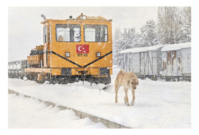 GENEL