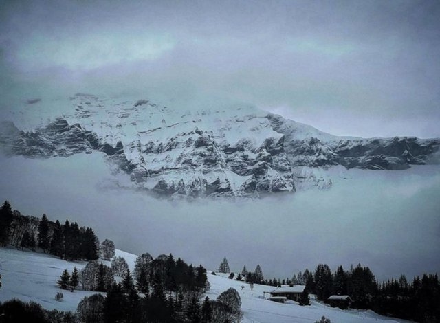 GENEL