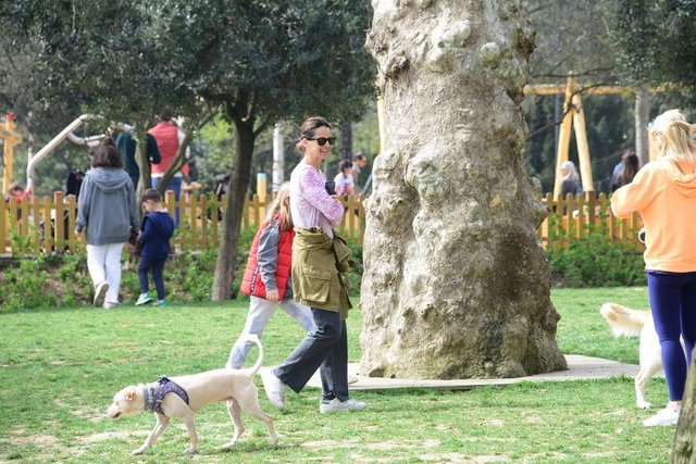 BOĞAZ'DA KÖPEKLERİNİ GEZDİREN EDVİNA SPONZA EĞLENCELİ ANLAR GEÇİRDİ.