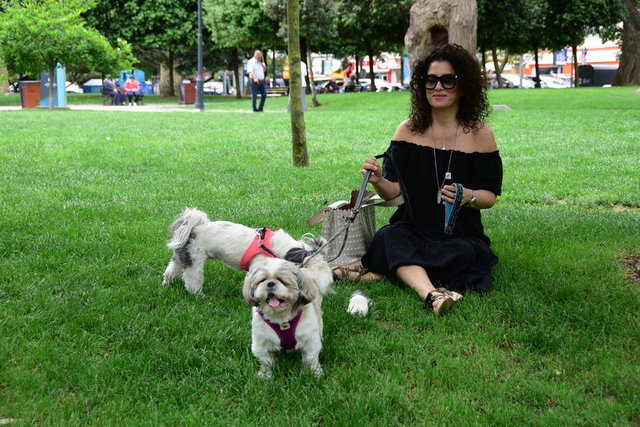NAZLI KEÇİLİ