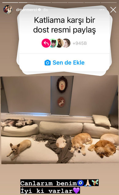 DERİN MERMERCİ PAYLAŞIMI