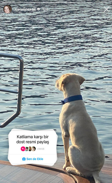CAROLİNE KOÇ PAYLAŞIMI