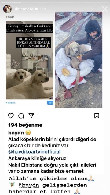GENEL