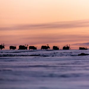 Dünyanın en mutlu ülkesi
