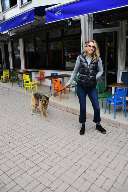 SEBEN KOÇİBEY