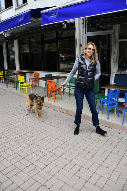 SEBEN KOÇİBEY CADDELERDE KÖPEĞİNİ GEZDİRDİ.