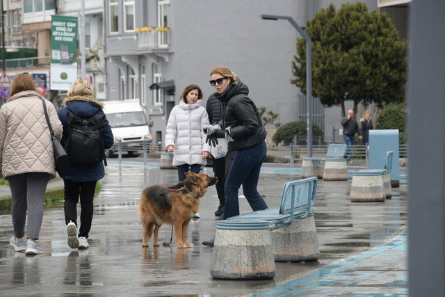 SEBEN KOÇİBEY KÖPEĞİYLE BEBEK'TE YÜRÜYÜŞ YAPTI.