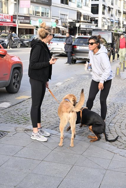 ESRA TÜMEN, İPEK VAROL