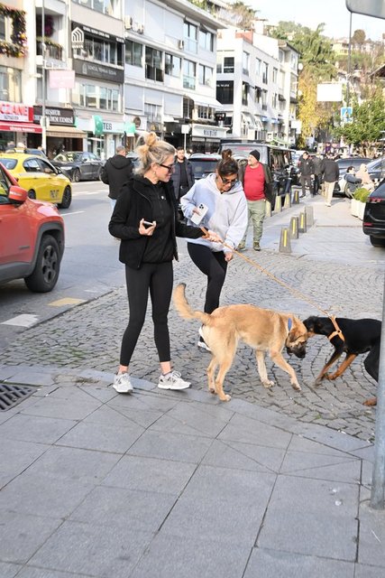 ESRA TÜMEN, İPEK VAROL