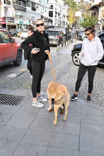 ESRA TÜMEN, İPEK VAROL